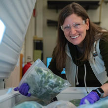 Melissa Phillips, wearing safety glasses, poses leaning over an open chest freezer, holding a plastic bag of spinach. 