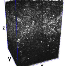 Imaging result is a black cube with small white blobs inside a grid.