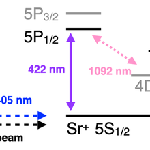 Relevant Sr cation levels