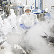 A NIST researcher places samples inside one of the large liquid nitrogen freezers used to preserve biological tissue for scientific study.