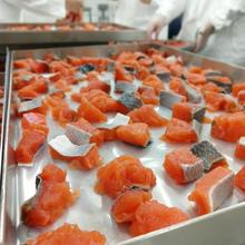 Chopped up pieces of salmon lie in a metal tray in a lab.