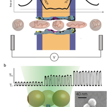 nanopore event