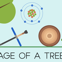 Illustration shows a tree with a T-shaped coring tool, an atom, and a tree cross section with rings and reads: Age of a Tree