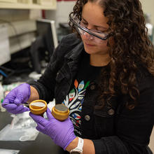 Diana Ortiz-Montalvo uses tweezers to place a filter into a small holder in the lab. 