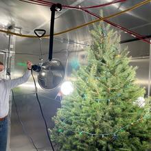 A researcher wearing a face mask gestures to a Christmas tree set up in a metallic box with a large spotlight shining on it. 