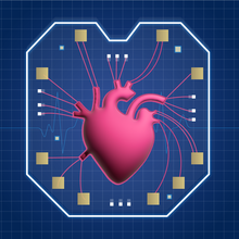 An illustrated anatomically correct human heart sits inside of a microchip, with its valves connecting to the microchip sensors.