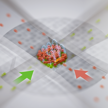 Artist’s rendering of an organ-on-a-chip device