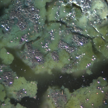 Close-up shows shiny metal patches with areas of green corrosion and open holes. 