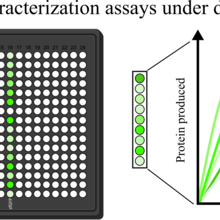 cell free assay plate with notional data