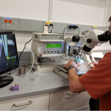 A researcher peers into the eyepiece of a microscope while positioning a small box beneath it; the image shows on a monitor to his left.