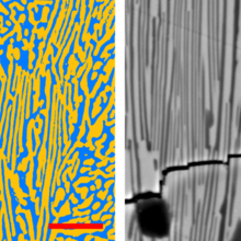 Thresholded SEM image of polished cross-section of alumina and ceria.png