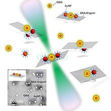 quantum dots and gold nanoparticles