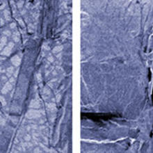 FIB image and SEM image of solder