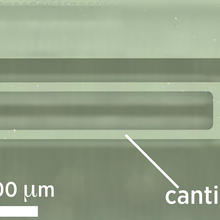 Self-calibrating AFM probe