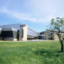 blue sky. green grass. tree in the right foreground. Building in the background.