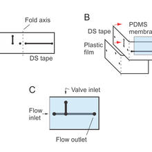 Microfluidic Device