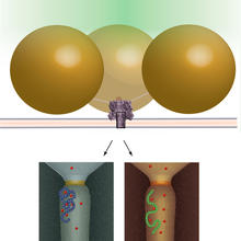 nanopores