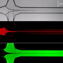 three rows. First gray with black pattern. Second black with red stripe. Third black with green stripe