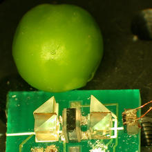 Green pea on top. Spectrometer below.