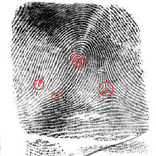 black and white fingerprint with four red circles on specific points of the whirls.