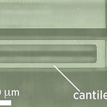 Self-calibrating AFM probe