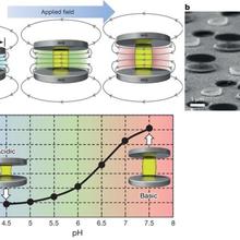 magnetic nanoprobe