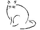 Causal Cat Causal Cat