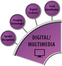Digital/Multimedia wedge