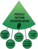 Physics/Pattern Interpretation wedge