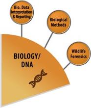 Biology SAC Wedge