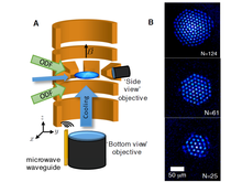 Penning trap for confining 2D ion Coulomb crystals
