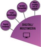 Digital/Multimedia wedge