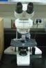 Leica DM LM Microscope Thumbnail