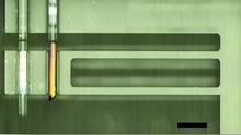 optical system