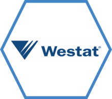 A hexagon, outlined in blue with the Westat team logo in the center.