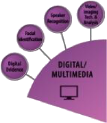 Digital/Multimedia SAC wedge