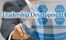 Baldrige Executive Fellows Program Baldrige Executive Fellows Program