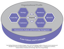 The Baldrige Health Care Criteria for Performance Excellence Overview consists of the six categories (Organizational Profile, Leadership, Strategy, Customers, Measurement, Analysis, and Knowledge Management, Workforce, Operations, and Results).