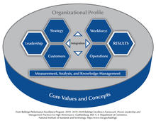 The Baldrige Criteria for Performance Excellence Overview consists of the six categories (Organizational Profile, Leadership, Strategy, Customers, Measurement, Analysis, and Knowledge Management, Workforce, Operations, and Results).