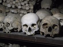 Real Human Skulls