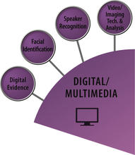 Digital Multimedia SAC icon