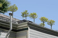 Image of the  top of a building