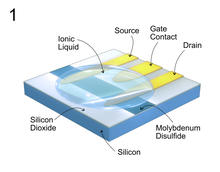 Cdk5 sensor Image 1