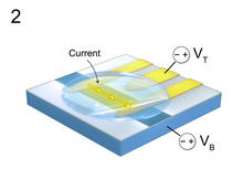 Cdk5 sensor Image 2