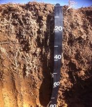 Example of a soil pit showing color differences 
