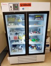 Thermo Scientific GPR Refrigerator