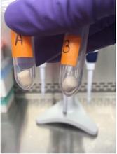 Example of the lyophilized format for Lyophilized format for NIST RM 8230