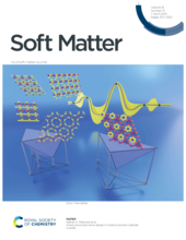 Soft Matter 2019 Inside Cover