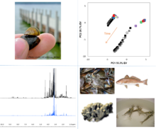 Environmental metabolomics