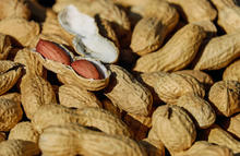 Canva Peanuts